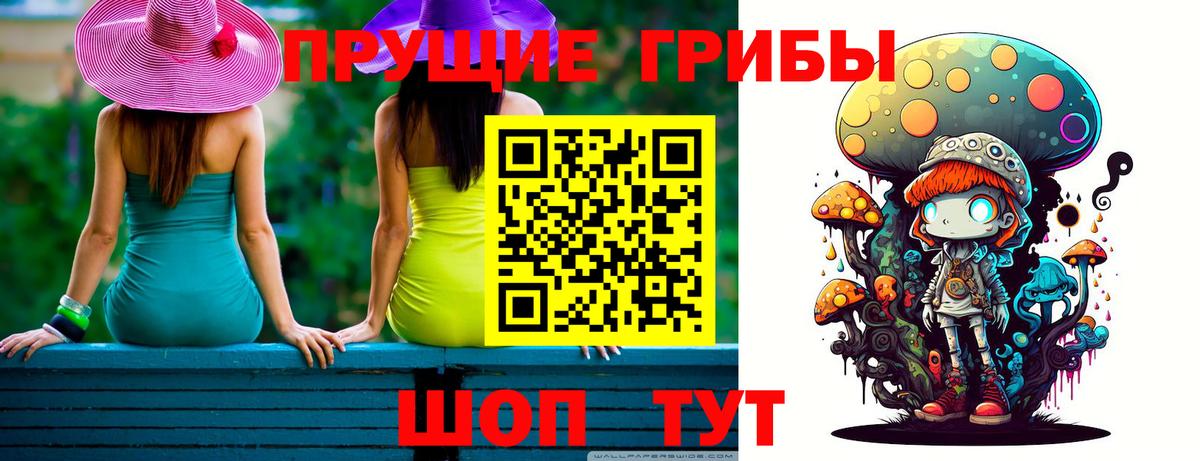 Псилоцибиновые грибы Psilocybine cubensis Пермь
